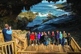 Escorted Tours